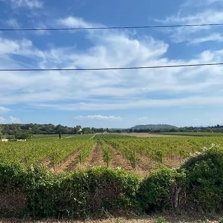 Une Parenthese Face Aux Vignes Sorgues Exterior photo