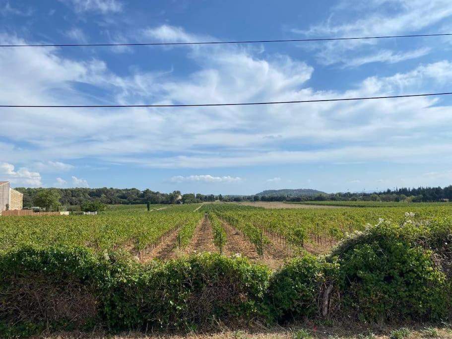 Villa Parenthese Face Aux Vignes *